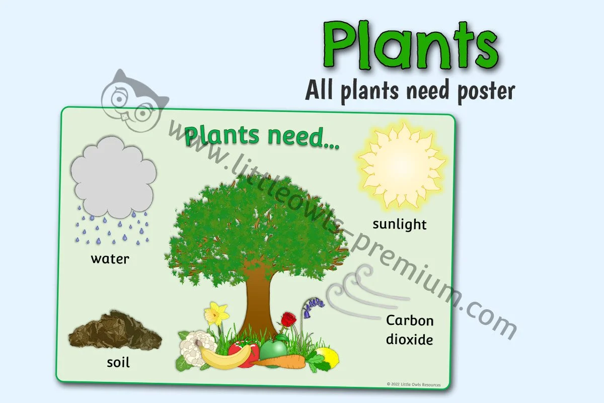 All Plants Need Poster - Editable Cover.jpg