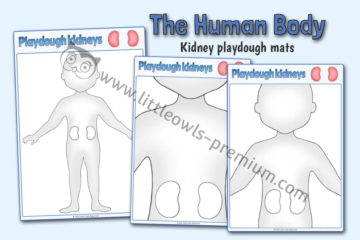 Kidney Playdough Mats - Editable Cover.jpg