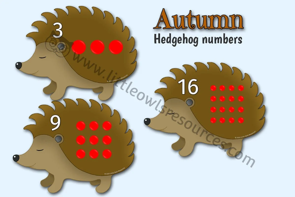 Hedgehog Numbers LOR - Editable Cover.jpg