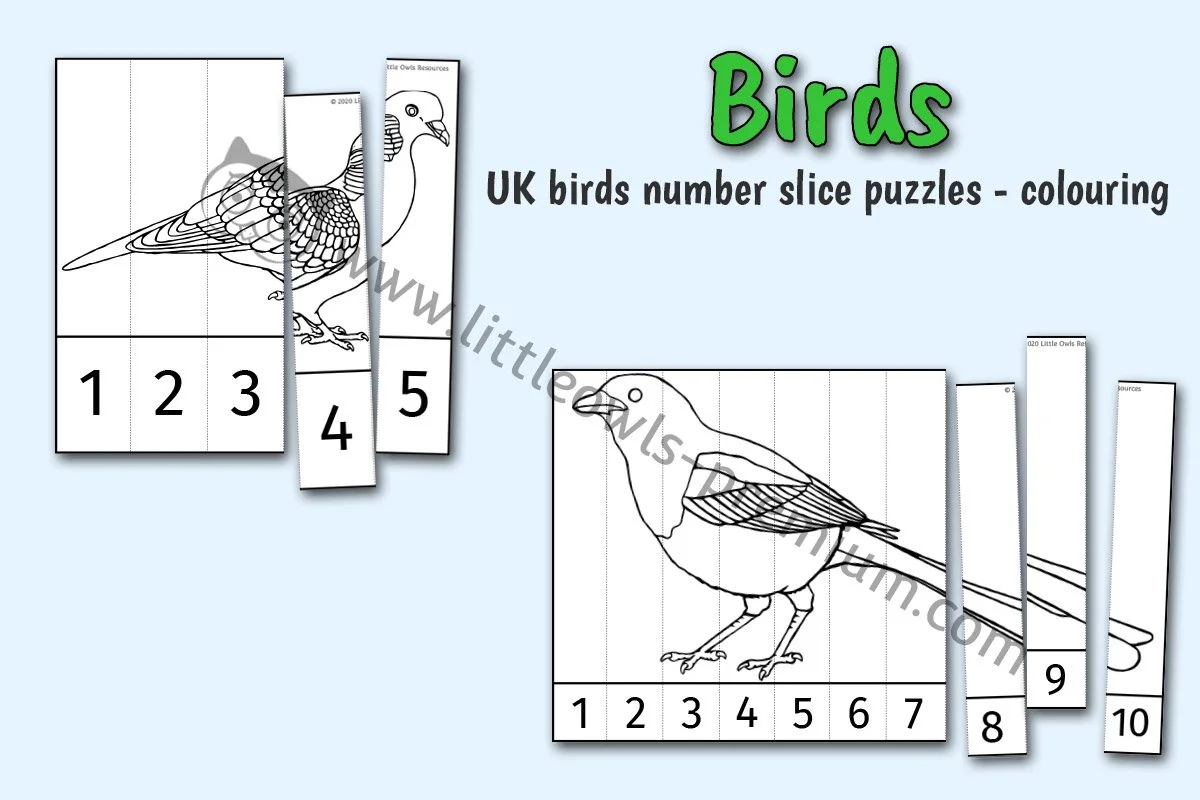 UK Birds Number Slice Col - Editable Cover.jpg