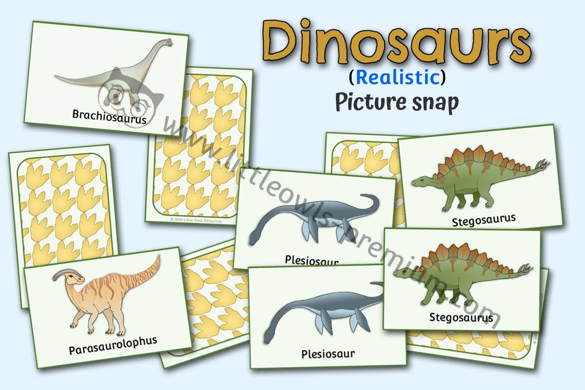 Dinosaur Picture Snap - EDITABLE Cover.jpg