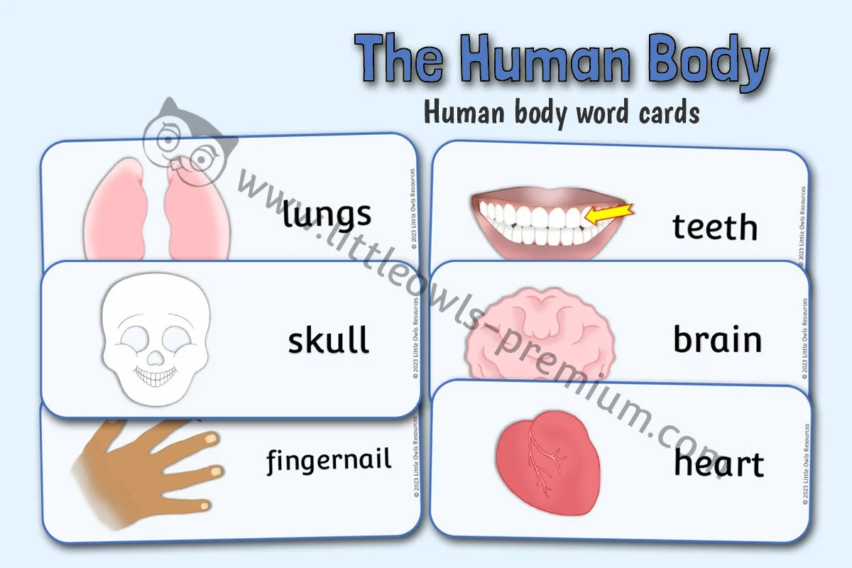 Human Body Words - Editable Cover.jpg