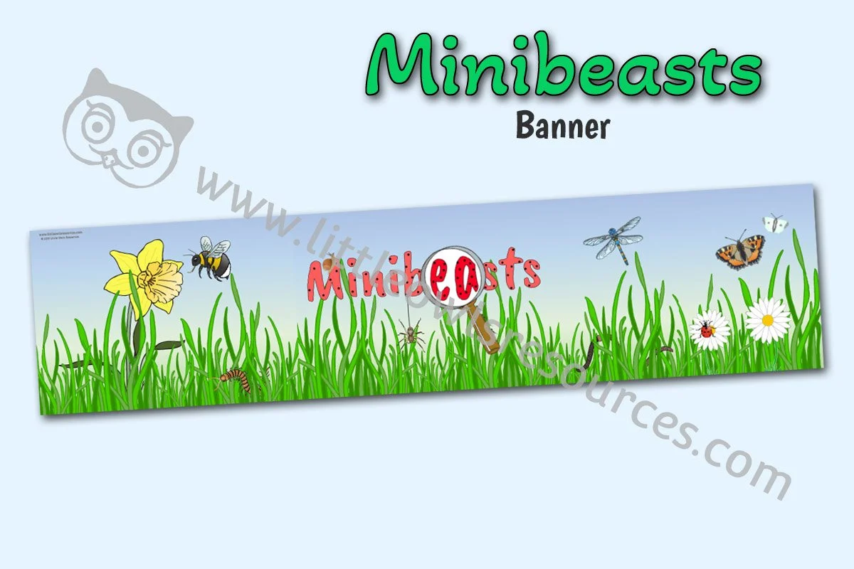 Minibeasts Banner - EDITABLE Cover.jpg