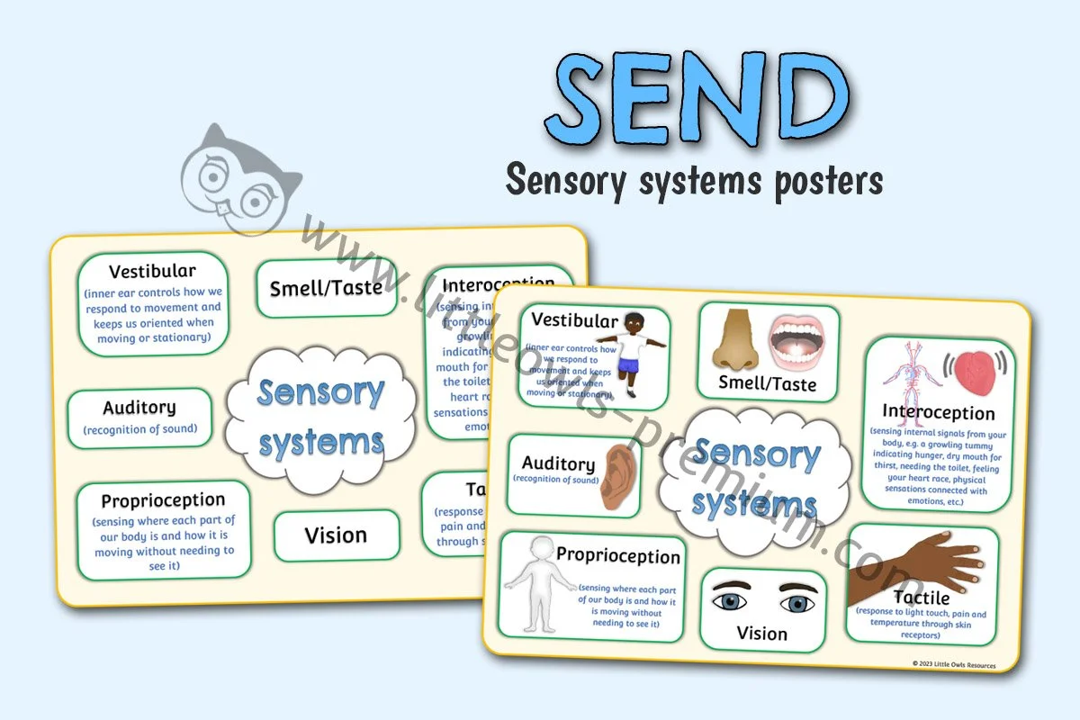 Sensory systems posters - Editable Cover.jpg