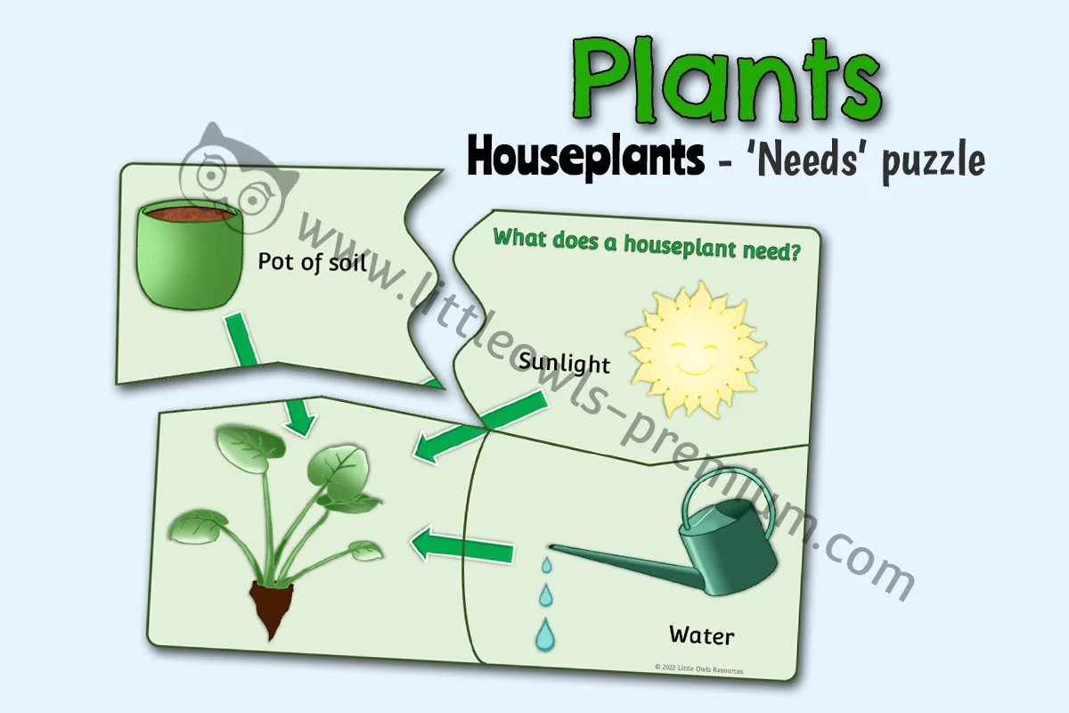 Hibernation Animal Masks LOR - Editable Cover.jpg