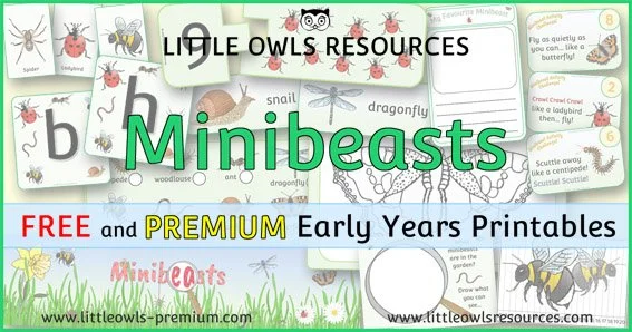 Minibeasts Theme | EYFS & KS1