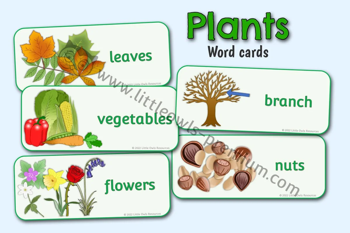 Plant themed Activities, Inspiration & Provision