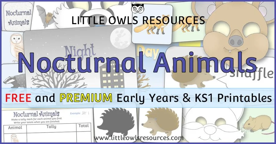 Nocturnal Animals EYFS & KS1 Printable Provision