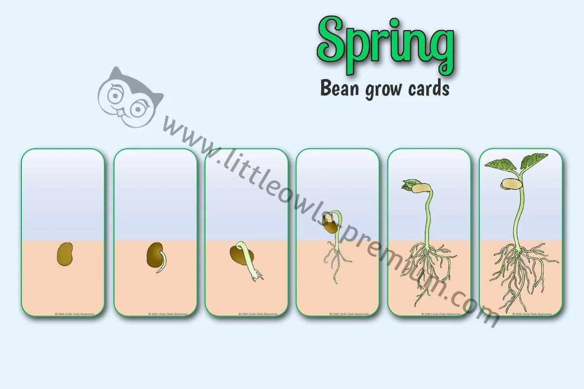Bean Grow Cards - Editable Cover.jpg