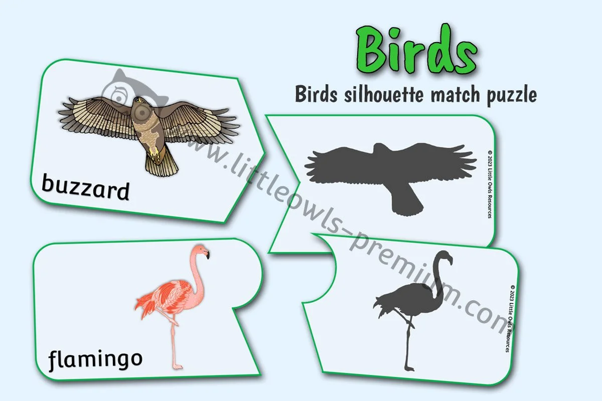 Birds Silhouette Match Puzzle - Editable Cover.jpg