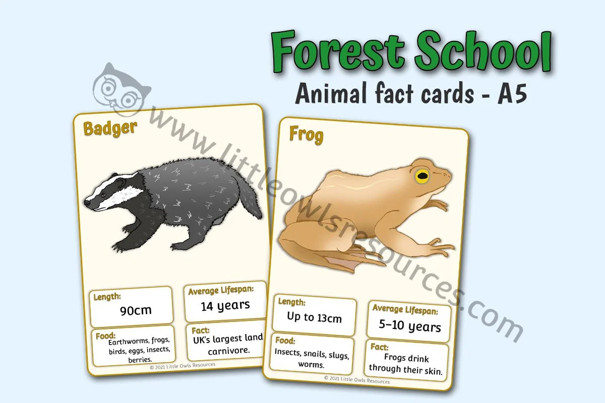 Woodland Animal Facts A5 LOR - Editable Cover.jpg