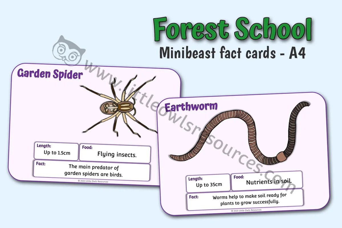Woodland Minibeast Facts A4 LOR - Editable Cover.jpg