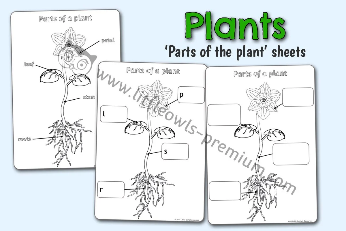 Parts of a Plant - Editable Cover.jpg