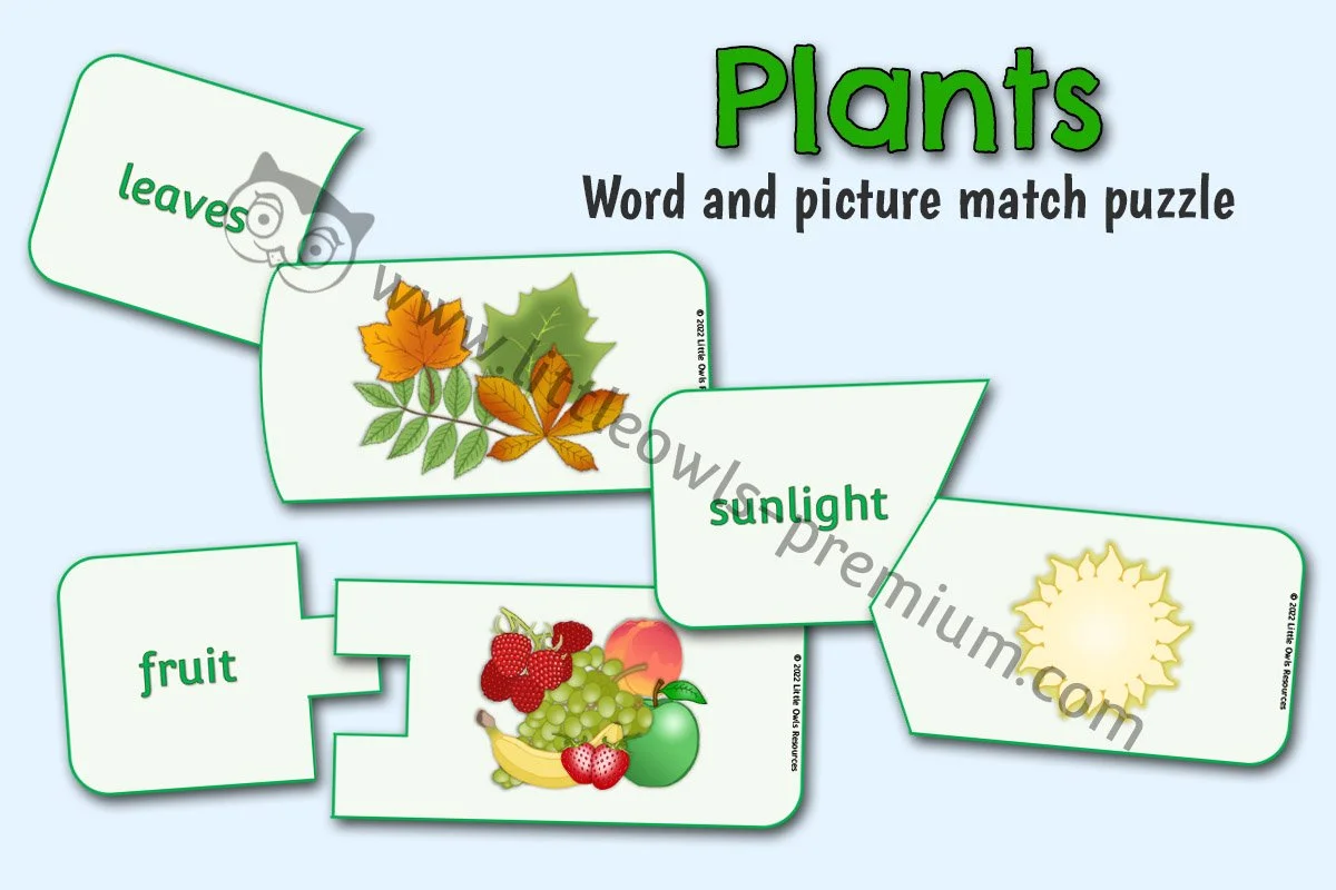 Plants Match Puzzle - Editable Cover.jpg