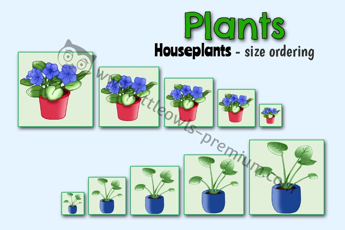 Plants Size Ordering - Editable Cover.jpg