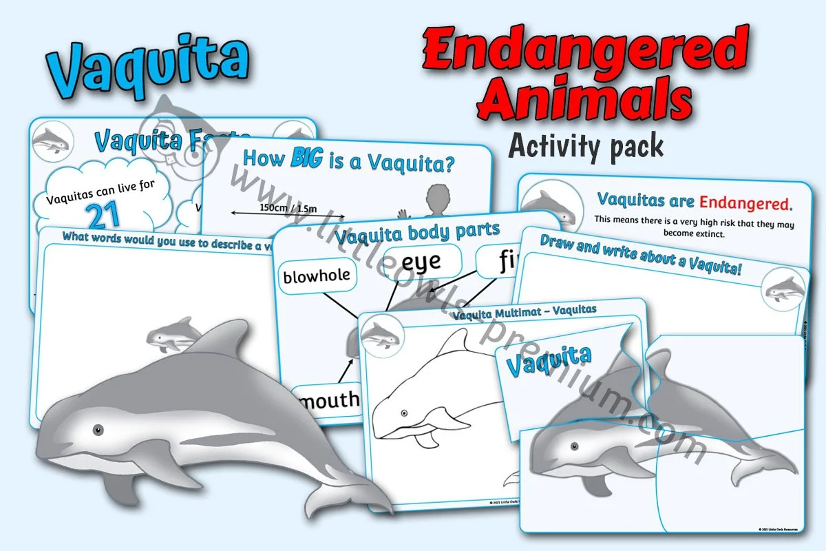 Vaquita Pack - Editable Cover.jpg