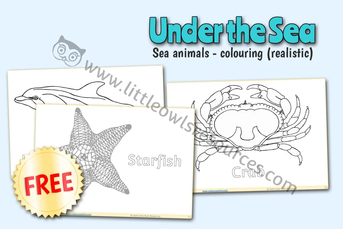 Sea Animals Colouring (Realistic) LOR - FREE Cover.jpg