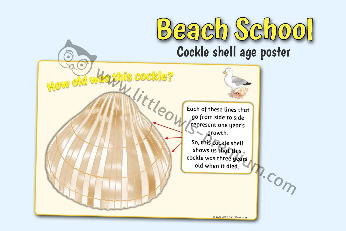 Cockle Shell Age - Editable Cover.jpg