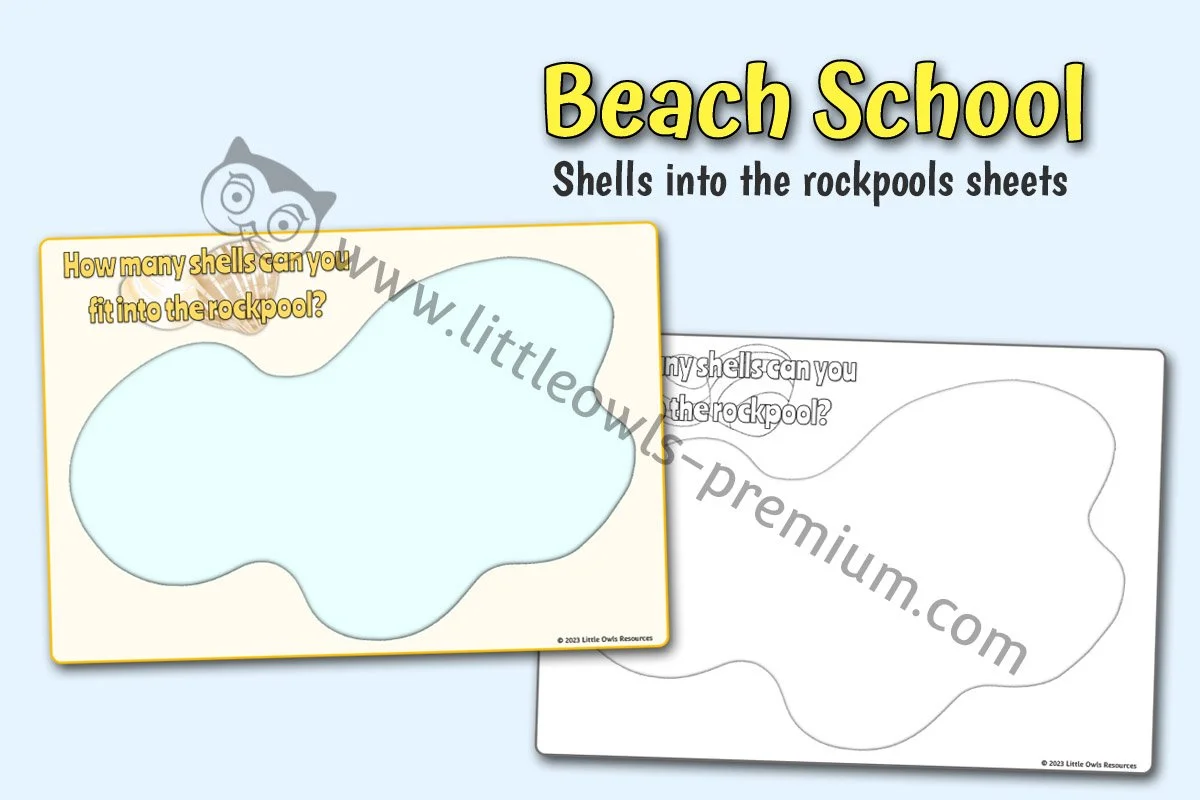 Shells into the rockpool - Editable Cover.jpg
