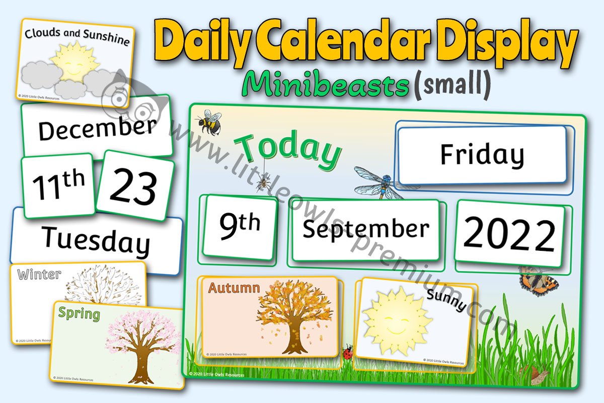 Today Calendar A4 - Minibeasts - Editable Cover.jpg