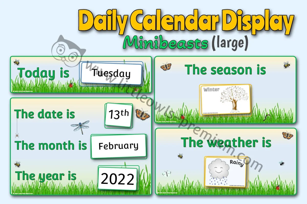 Today Calendar Large - Minibeasts - Editable Cover.jpg