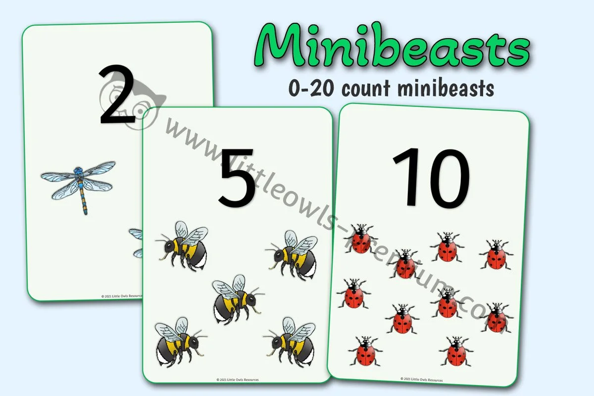0-20 Count Minibeasts - EDITABLE Cover.jpg