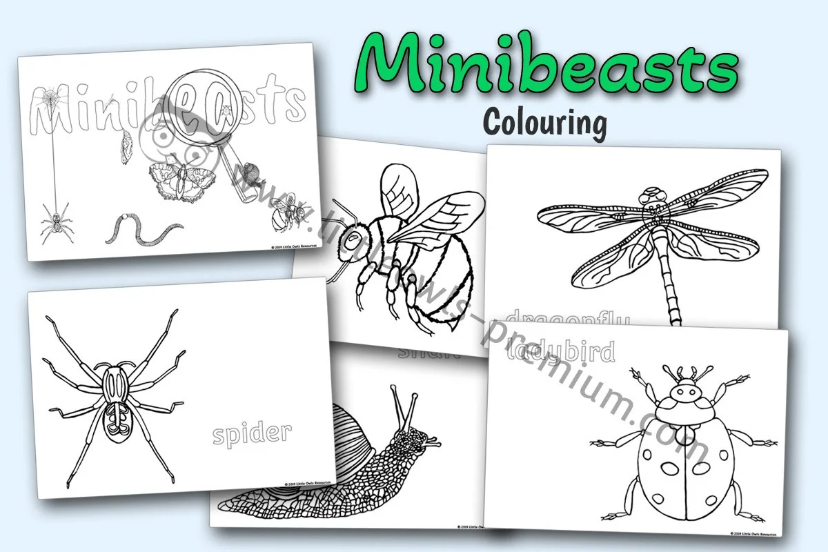 Minibeasts Colouring - EDITABLE Cover.jpg