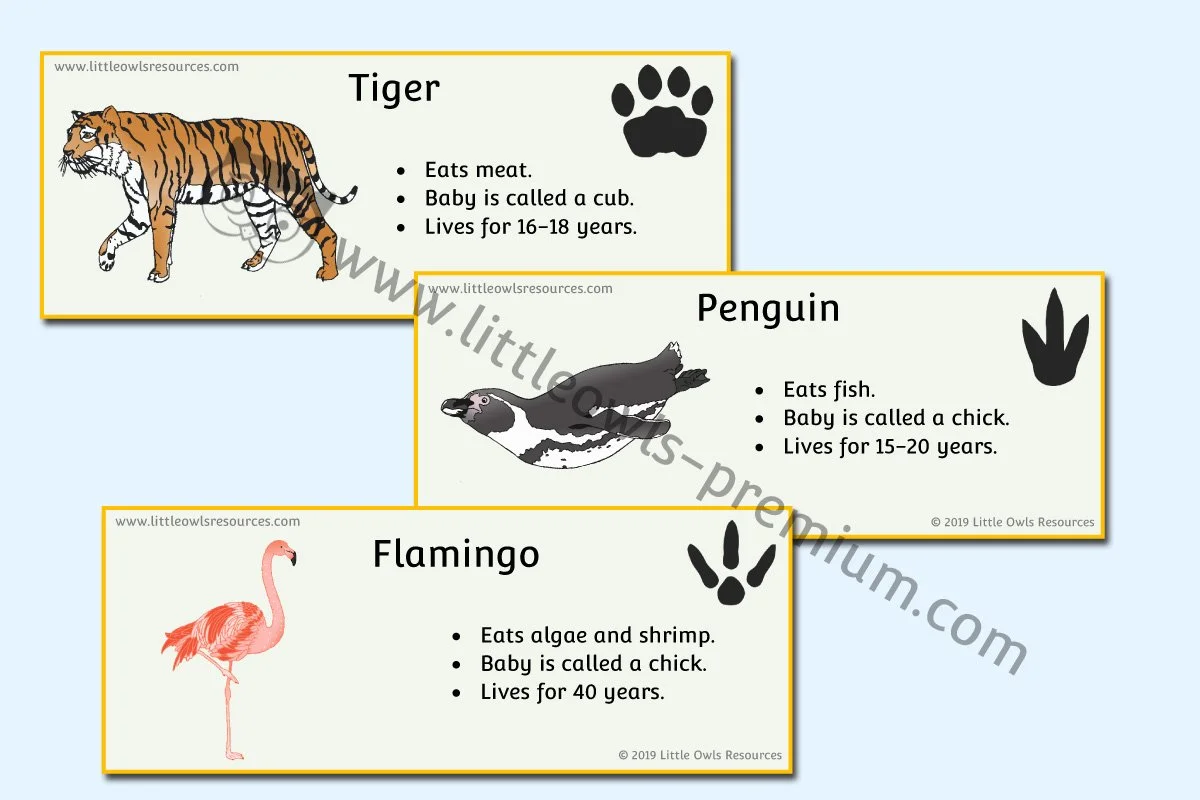 Zoo Animals Fact Cards - EDITABLE Cover.jpg
