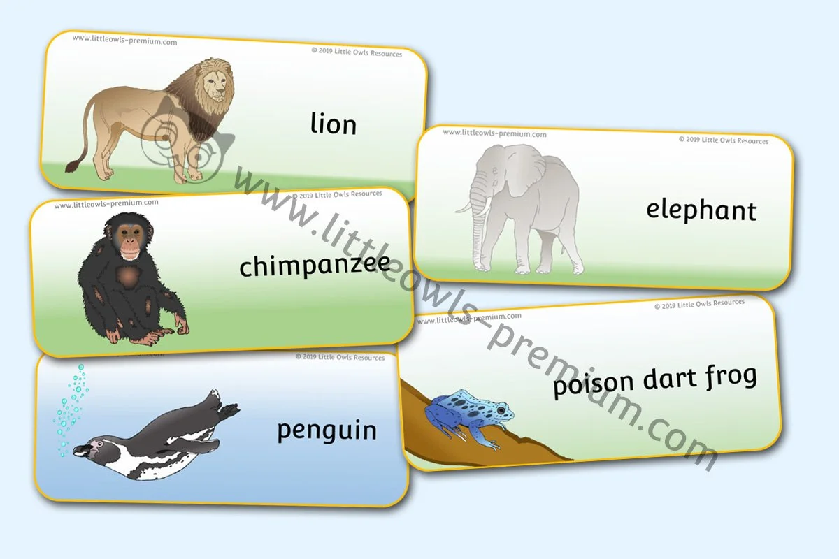 Zoo Animal Words - EDITABLE Cover.jpg