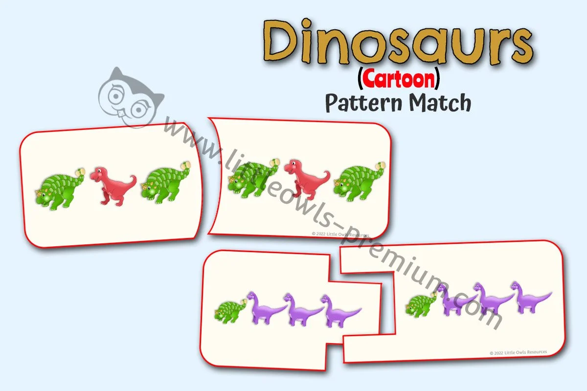 Dinosaur Pattern Match - Editable Cover.jpg