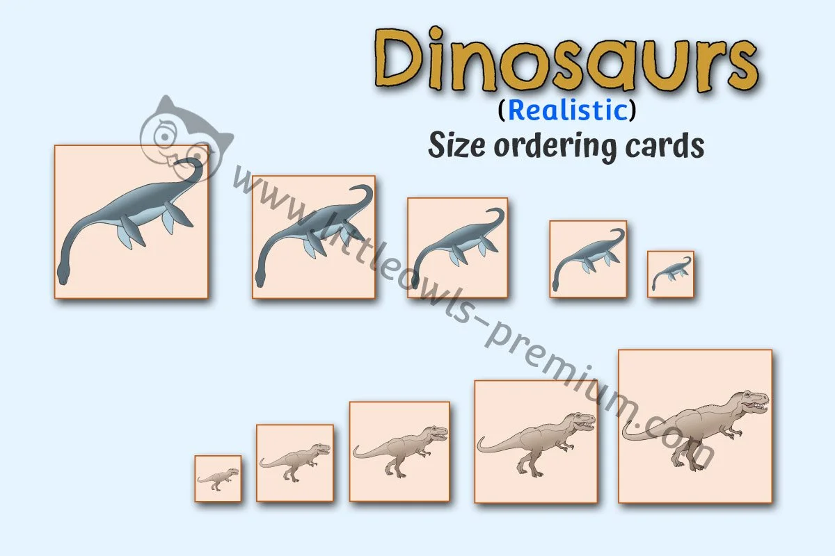 Dinosaur Size Ordering - Editable Cover.jpg