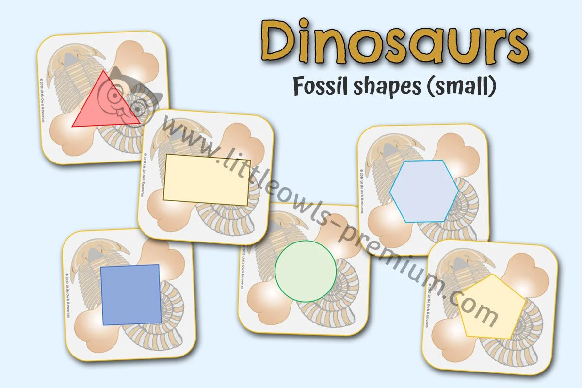 Fossil Shapes - EDITABLE Cover.jpg