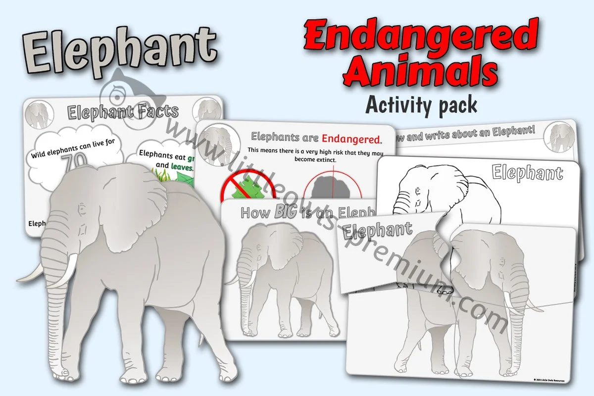 Elephant Pack - Editable Cover.jpg