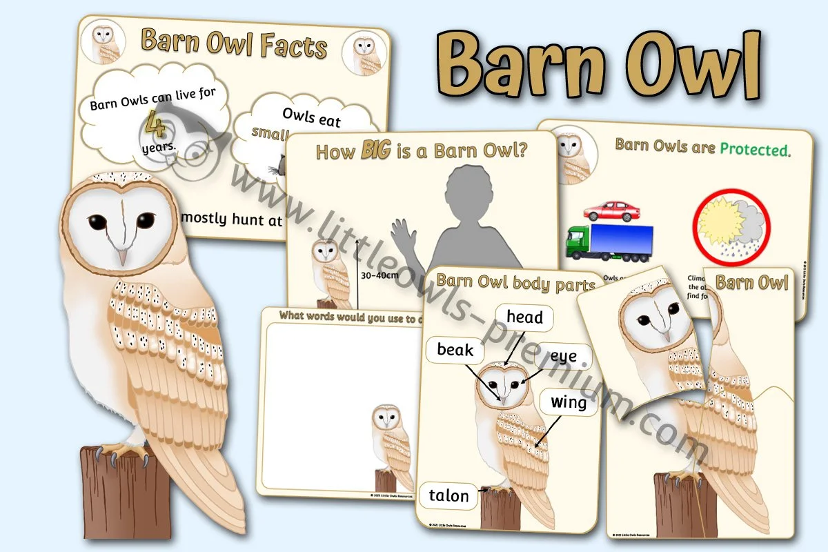 Owl Pack - Editable Cover.jpg