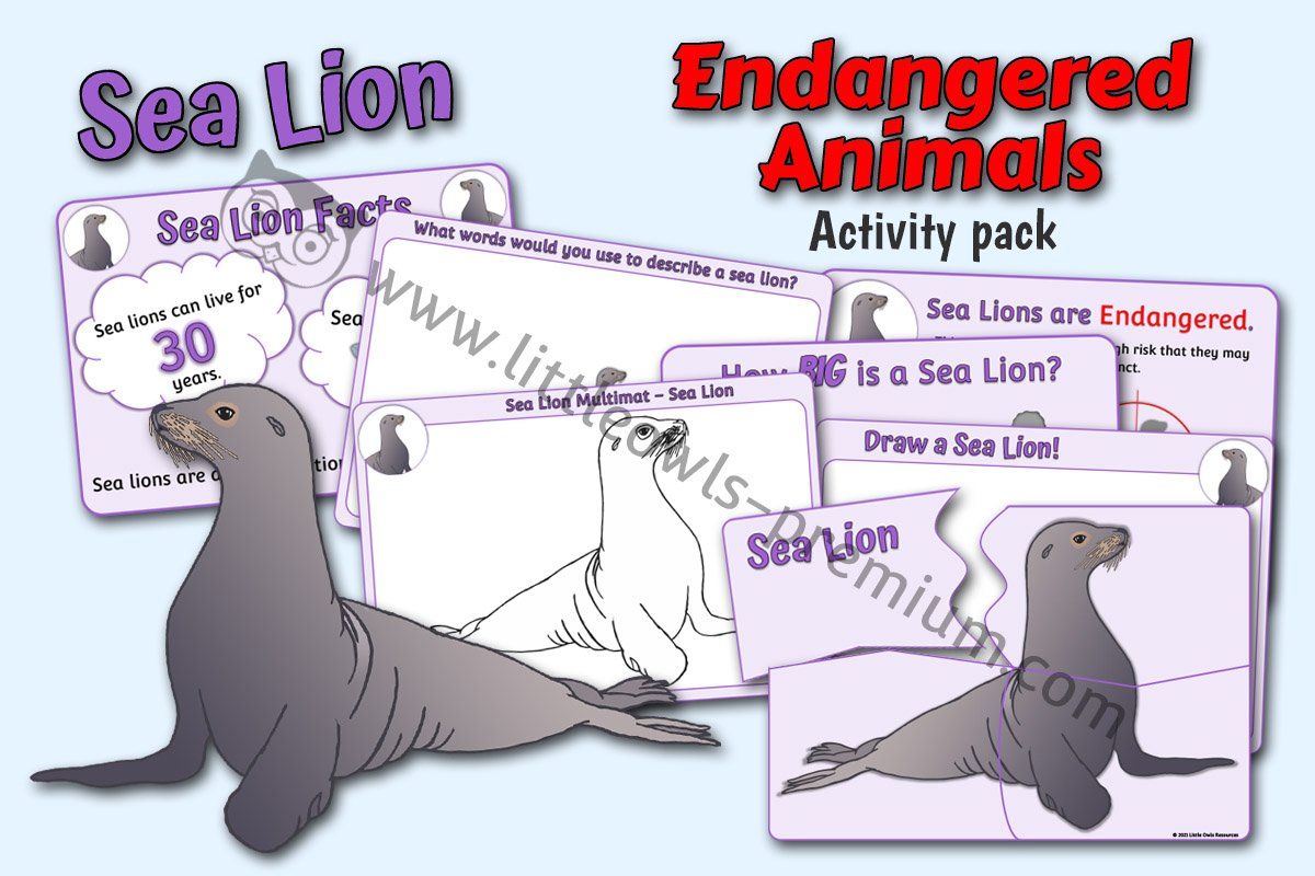 Sea Lion Pack - Editable Cover.jpg