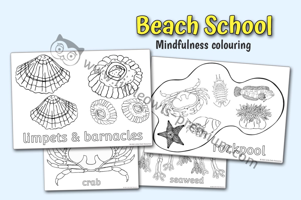 Beach Mindfulness Colouring - Editable Cover.jpg