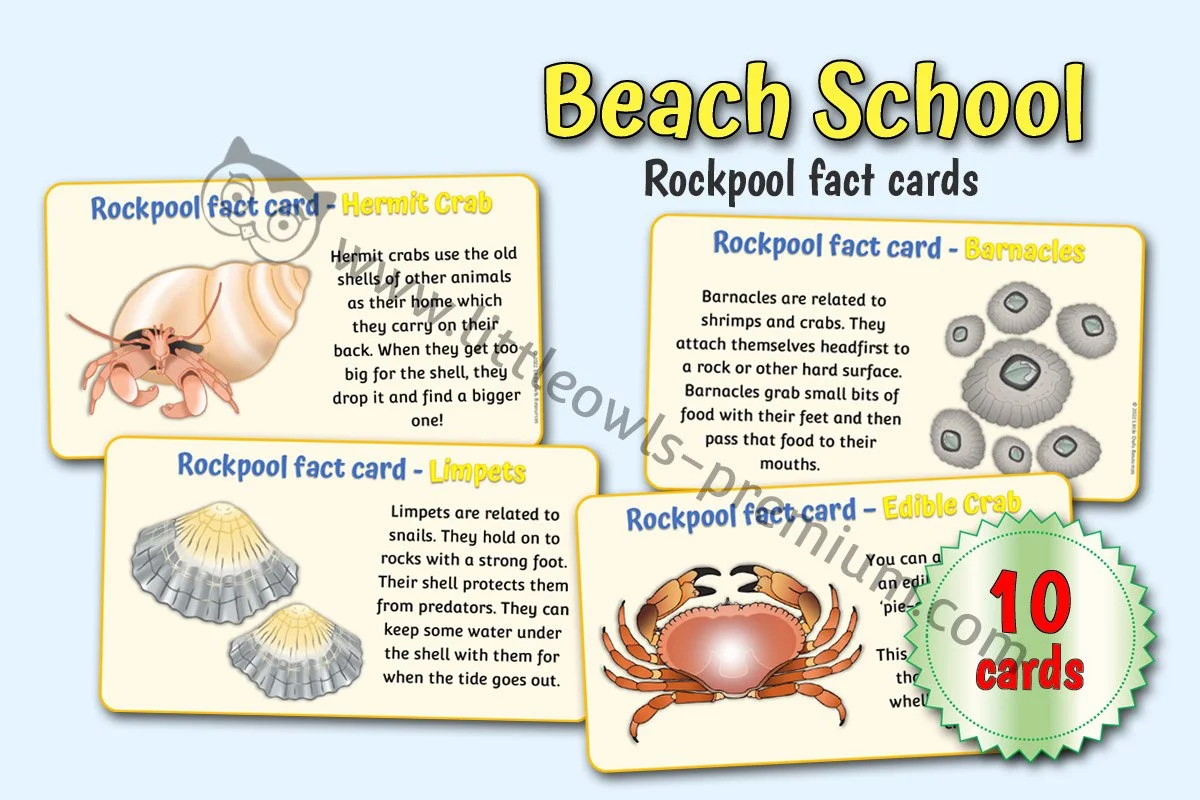 Rockpool Fact Cards - Editable Cover.jpg