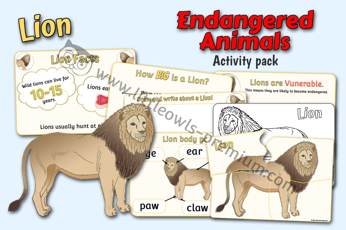 Lion Pack - Editable Cover.jpg