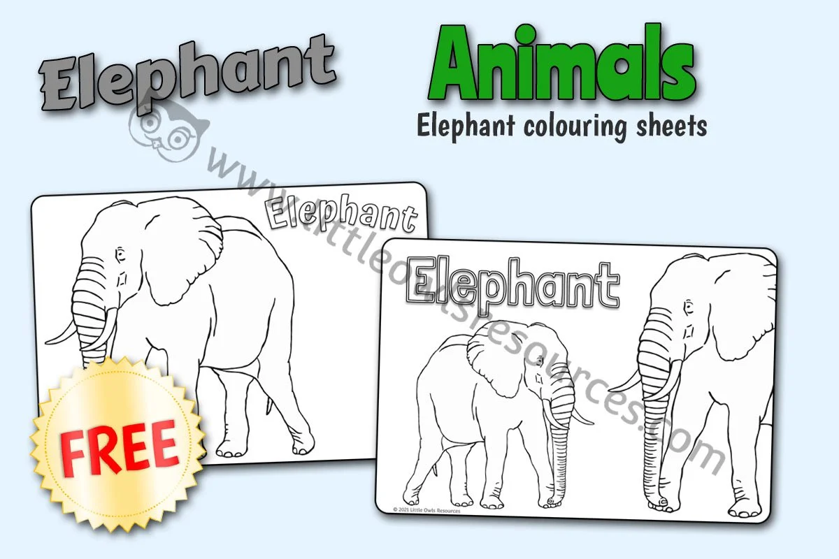 Elephant Col Horizontal LOR - FREE Cover.jpg