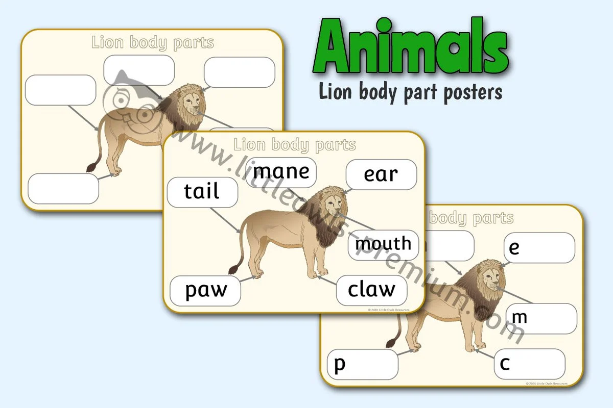Lion Body Parts Posters - Editable Cover.jpg