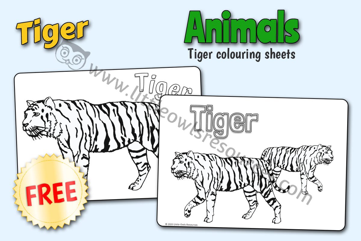 Tiger Col Horizontal LOR - FREE Cover.jpg