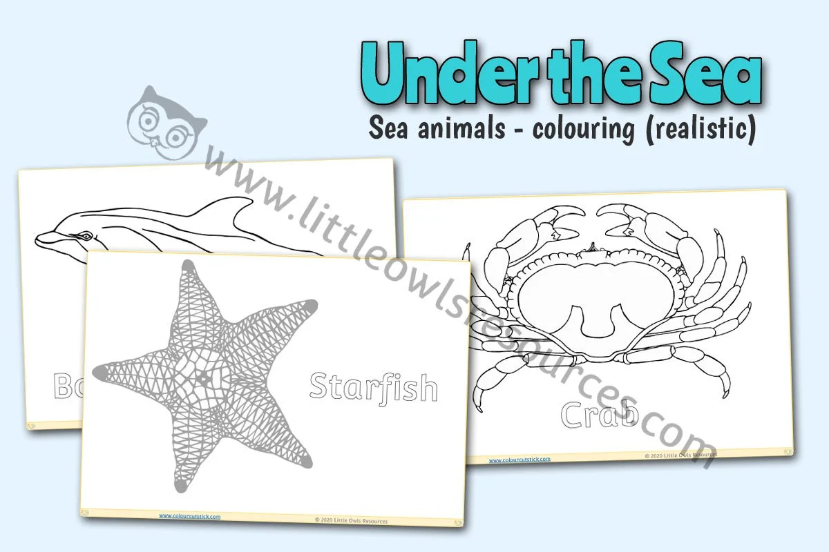 Sea Animals Colouring (Realistic) LOR - Editable Cover.jpg