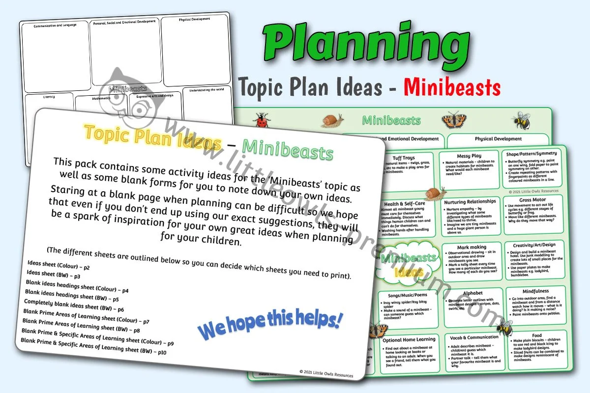 Topic Plan Ideas - Minibeasts - Editable Cover.jpg