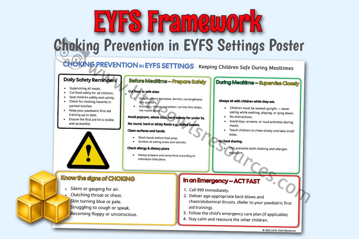 SAFEGUARDING AND WELFARE - Choking Prevention in EYFS Settings Poster