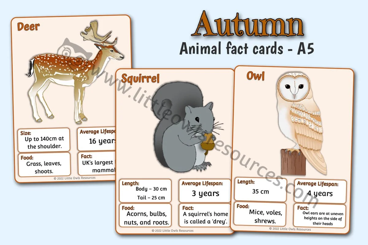 Autumn Animal Facts A5 LOR - Editable Cover.jpg