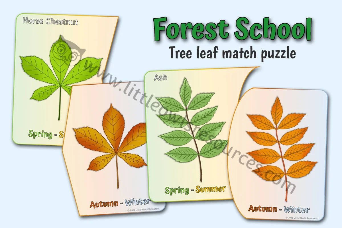 Woodland Trees Leaf Match Puzzle LOR - Editable Cover.jpg
