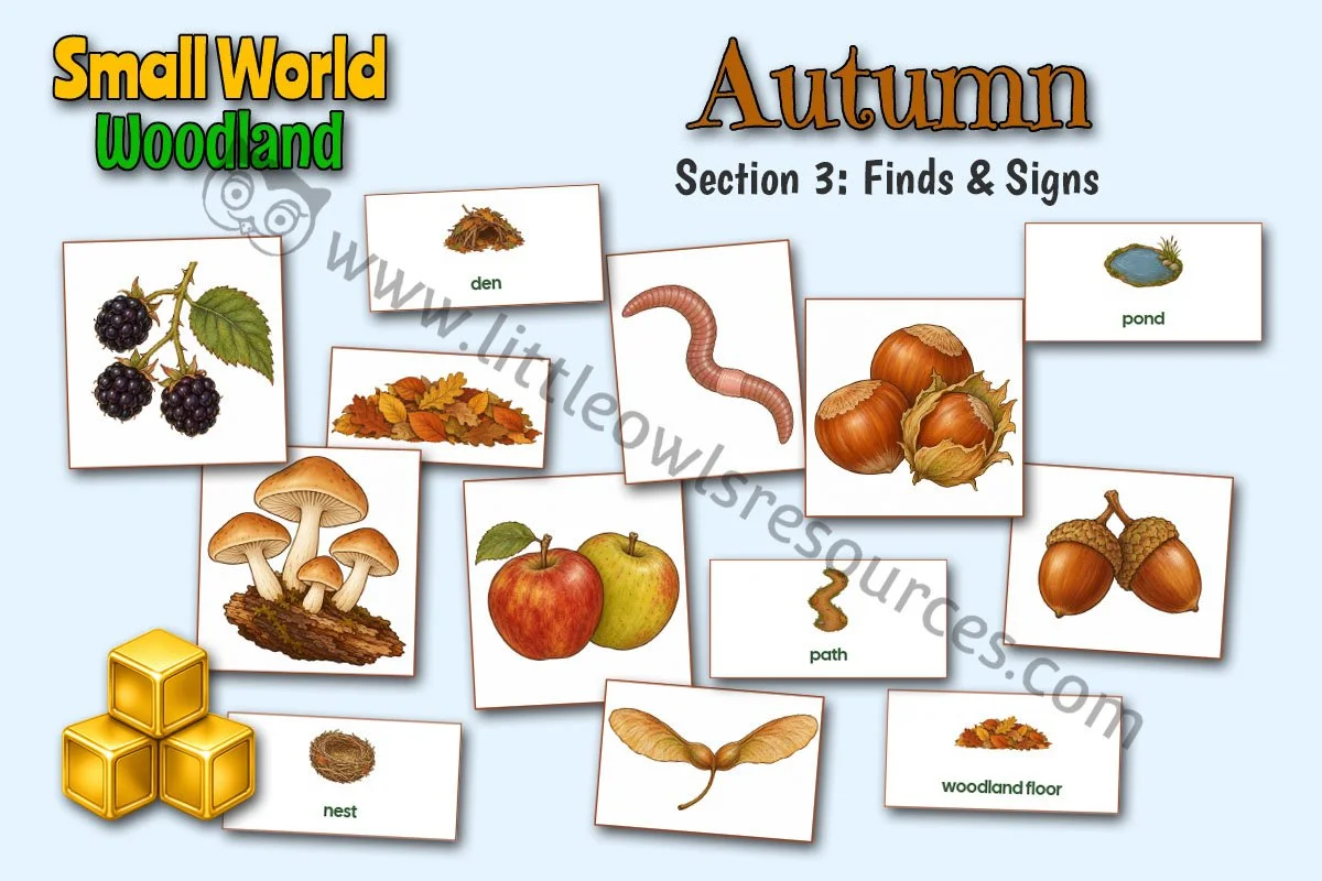 Autumn Woodland | Small World Finds & Signs