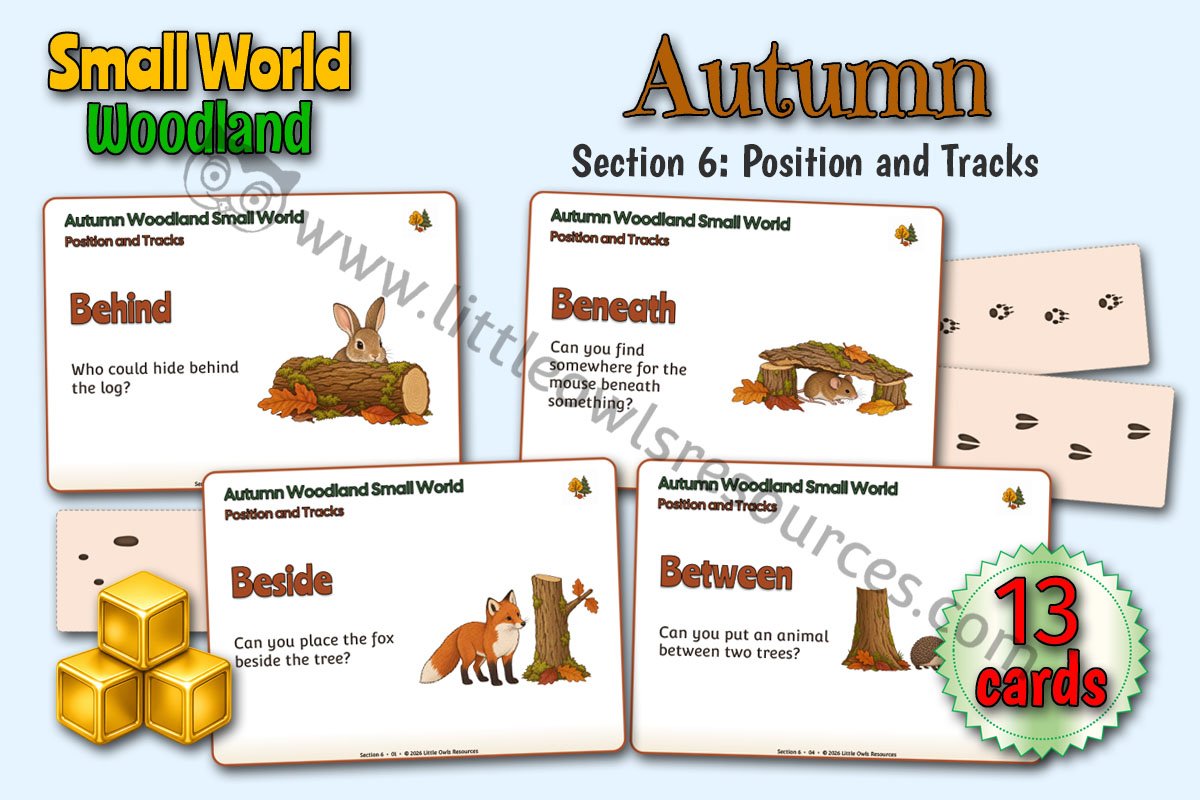 Autumn Woodland | Small World Position and Tracks