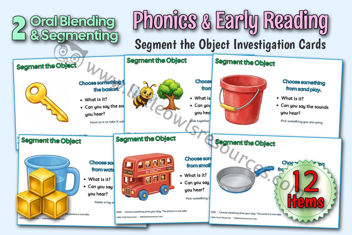 Segment the Object Investigation Cards - LOR - Editable Cover.jpg