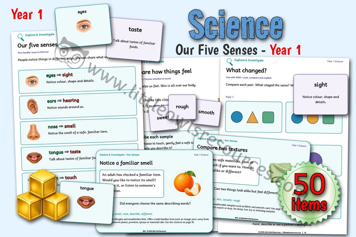 Our Five Senses - Year 1